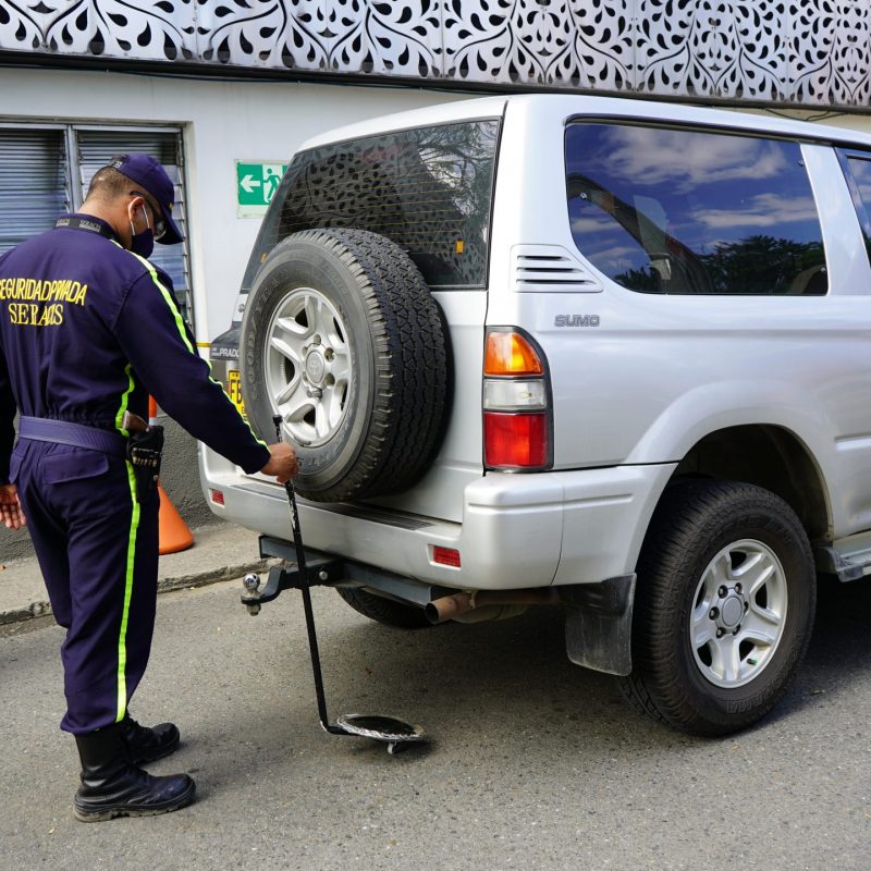 Elementos para inspección vehicular. Vigilancia y Seguridad Privada